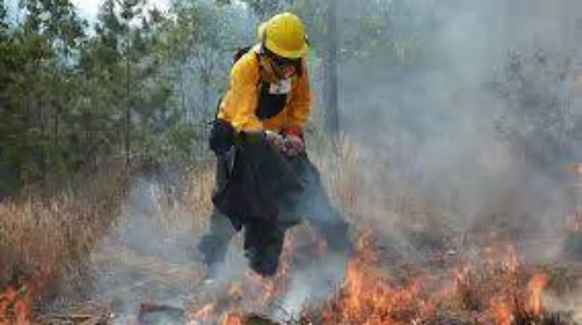 incendios forestales